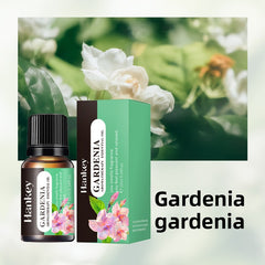 Aromatherapy essential oils leave a lasting fragrance indoors 10ml