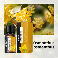 Aromatherapy essential oils leave a lasting fragrance indoors 10ml