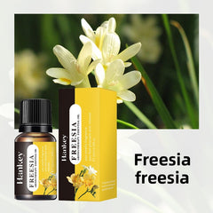 Aromatherapy essential oils leave a lasting fragrance indoors 10ml