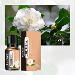 Aromatherapy essential oils leave a lasting fragrance indoors 10ml